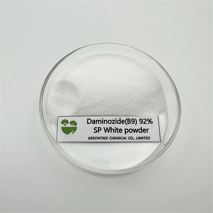 CAS NO. 1596-84-5 Kasvien liikakasvuhormoni DAMINOTSIDI (B9) PGR 92 prosenttia 99 prosenttia
