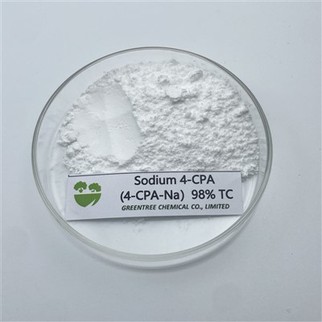 CAS NO. 13730-98-8 4-Kloorifenoksietikkahapon natriumsuola; 4-CPA-NA 98 prosenttia vesiliukoinen
