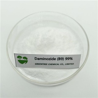 Daminozide B9 99% Tc The Control Overgrowth -sarja